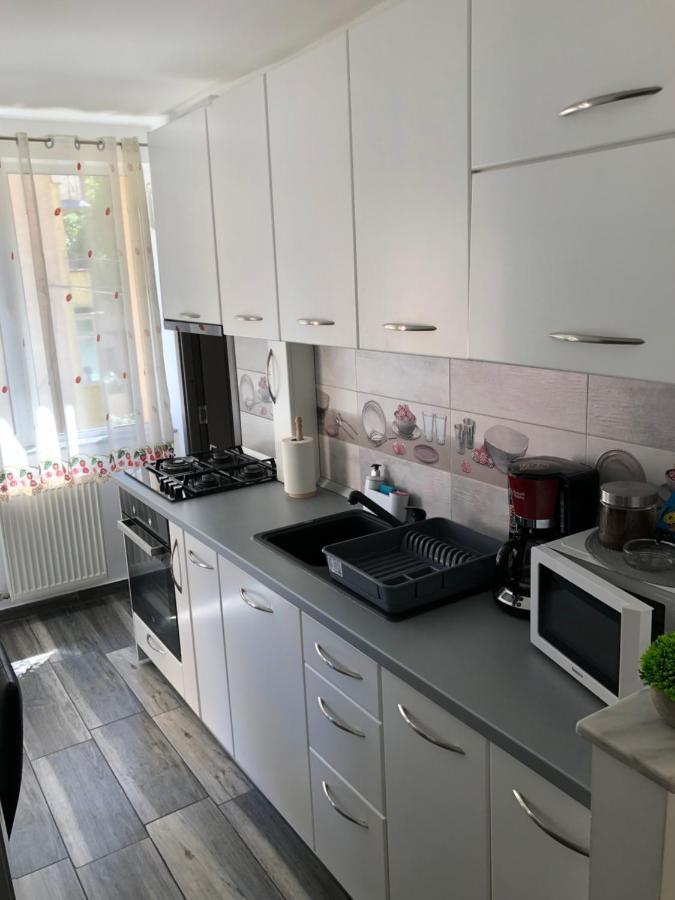 Skepsis Apartament Apartment Alba Iulia Ngoại thất bức ảnh